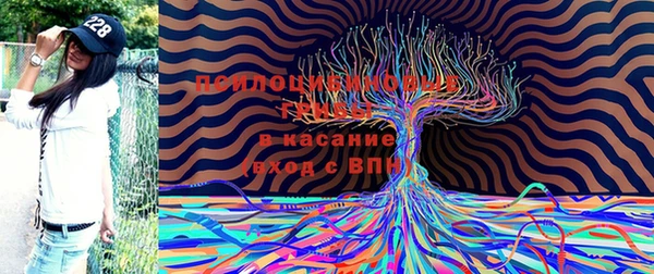 мяу мяу мука Новозыбков