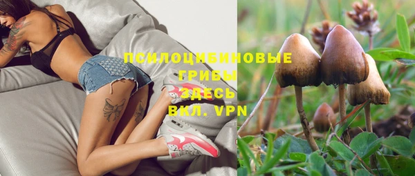 наркотики Новодвинск