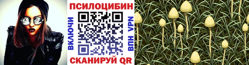 Псилоцибиновые грибы Cubensis  hydra онион  Прокопьевск 