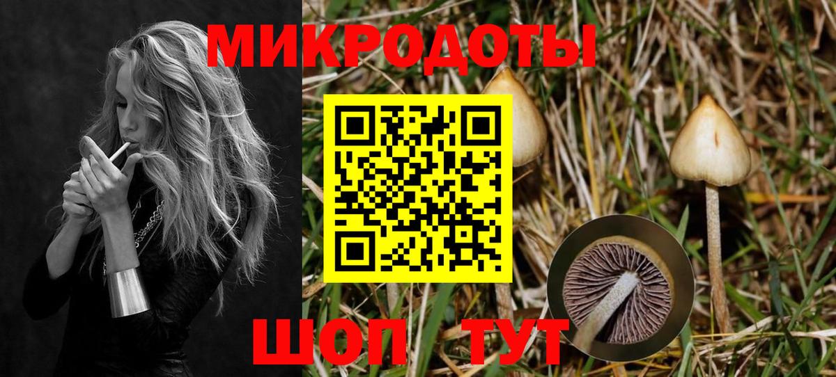 Псилоцибиновые грибы Cubensis Прокопьевск